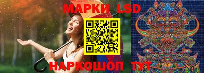 шишки Лесосибирск