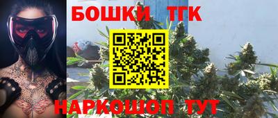 шишки Лесосибирск