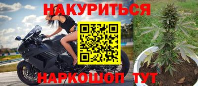 шишки Лесосибирск