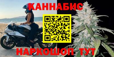 шишки Лесосибирск